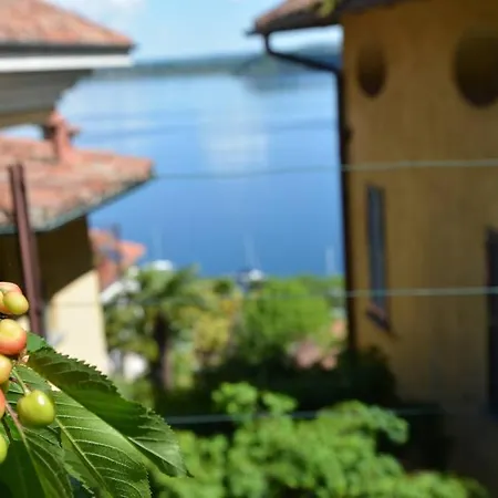 公寓 Relax In Terrazza Con Vista Unica E Piscina *